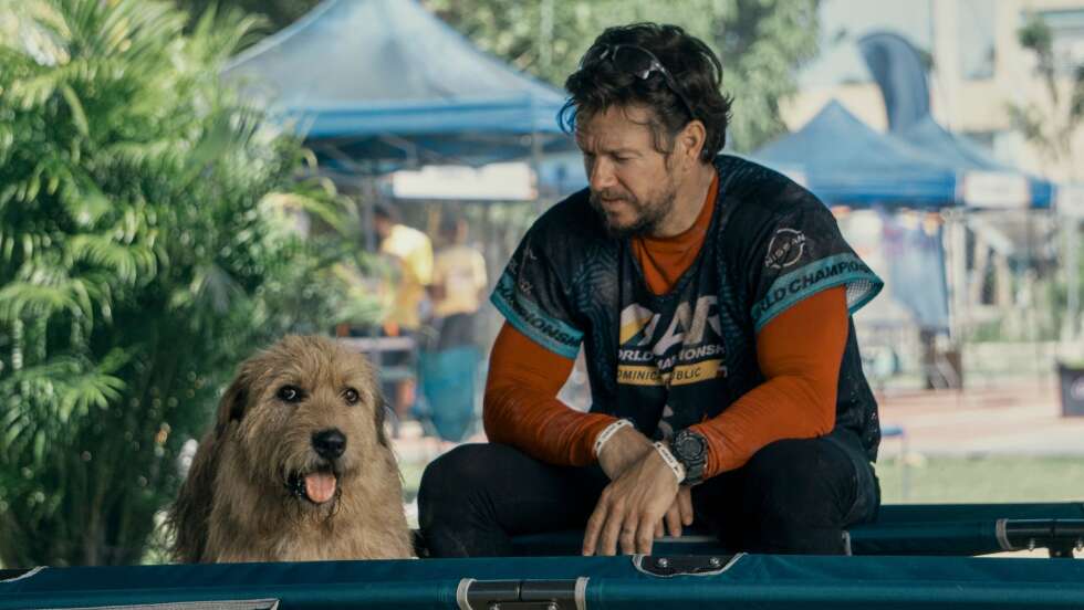 Mark Wahlberg rennt mit dem Hund durch den Dschungel